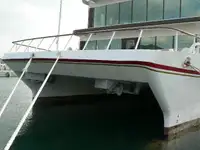 قارب مزدوج الهيكل للبيع