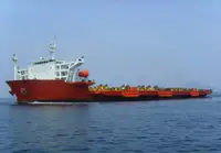 سفينة نقل بضائع سائبة للبيع