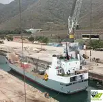 سفينة إنزال، ناقلة للبيع