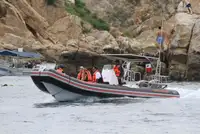 قارب مطاطي صلب للبيع