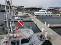 قارب نجاة للبيع