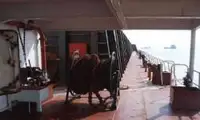 سفينة إنزال، ناقلة للبيع