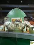 سفينة نقل بضائع بالمركبات (Ro-Ro) للبيع