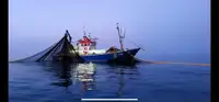 Trawler للبيع