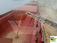 سفينة نقل بضائع سائبة للبيع