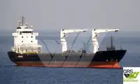 سفينة نقل بضائع سائبة للبيع
