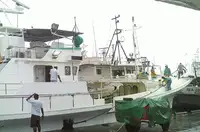 Longliner للبيع