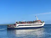 سفينة ركاب للبيع