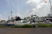زورق دورية للبيع