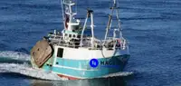 Beam trawler للبيع