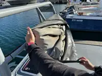زورق دورية للبيع