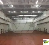 سفينة نقل بضائع بالمركبات (Ro-Ro) للبيع