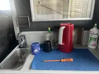 قارب مزدوج الهيكل للبيع