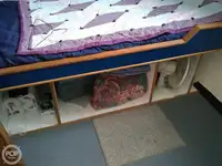 قاطعة للبيع