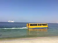 برمائية للبيع