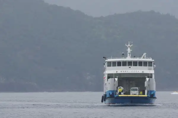 سفينة RORO للبيع