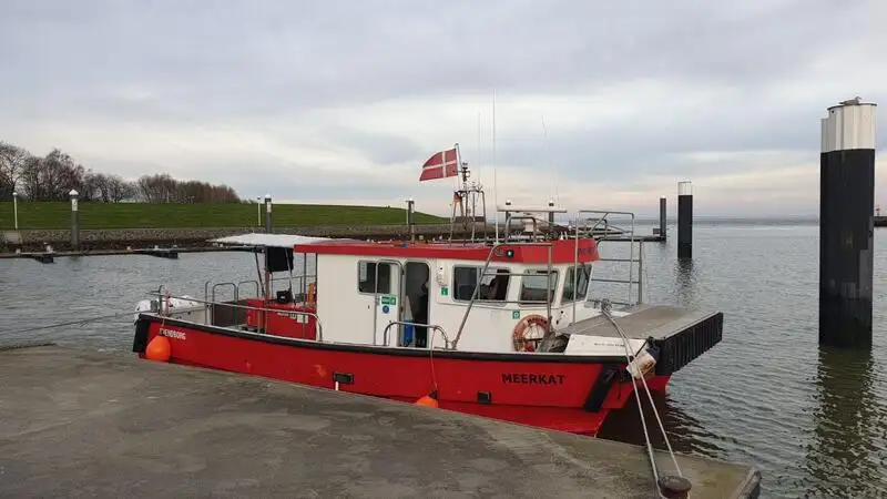 كاتاماران للبيع