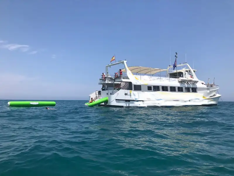 سفينة العبارة للبيع