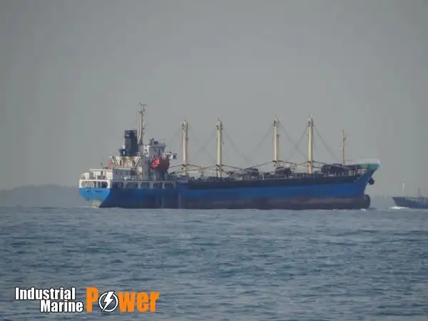 الناقل السائبة للبيع