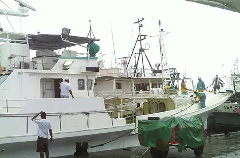 سفينة الخيوط الطويلة للبيع