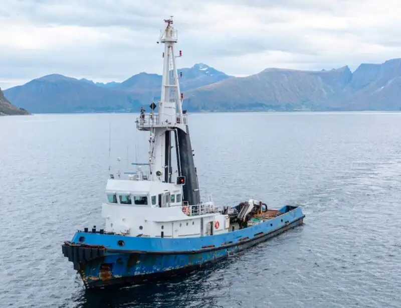 زورق السحب للبيع