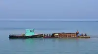 قوارب العمل للبيع