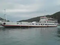 سفينة RORO للبيع