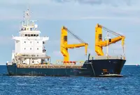 الناقل السائبة للبيع