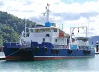 كاتاماران للبيع