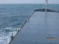 الناقل السائبة للبيع