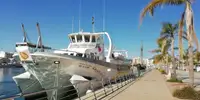 سفينة العبارة للبيع