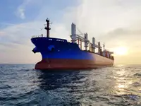 الناقل السائبة للبيع