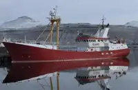 الناقل السائبة للبيع