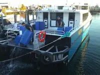 كاتاماران للبيع