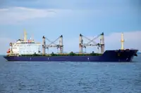 الناقل السائبة للبيع