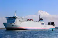 الناقل السائبة للبيع