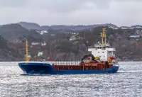 الناقل السائبة للبيع