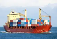 الناقل السائبة للبيع