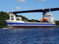 الناقل السائبة للبيع