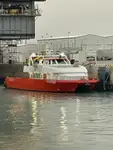 كاتاماران للبيع
