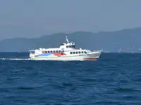 سفينة العبارة للبيع