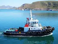 الناقل السائبة للبيع