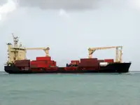 الناقل السائبة للبيع