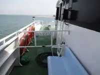 كاتاماران للبيع