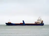 الناقل السائبة للبيع