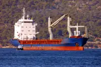 الناقل السائبة للبيع