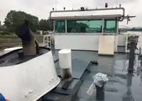 الناقل السائبة للبيع