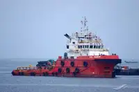 زورق السحب للبيع