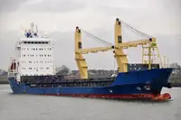 الناقل السائبة للبيع