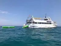 سفينة العبارة للبيع